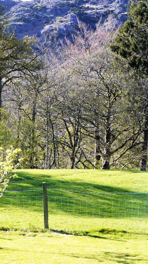Shepherds Bridge B&B كونيستون المظهر الخارجي الصورة